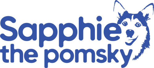 Sapphie the Pomsky